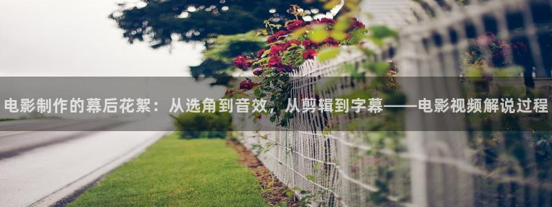 樱花影院热门电视剧有哪些