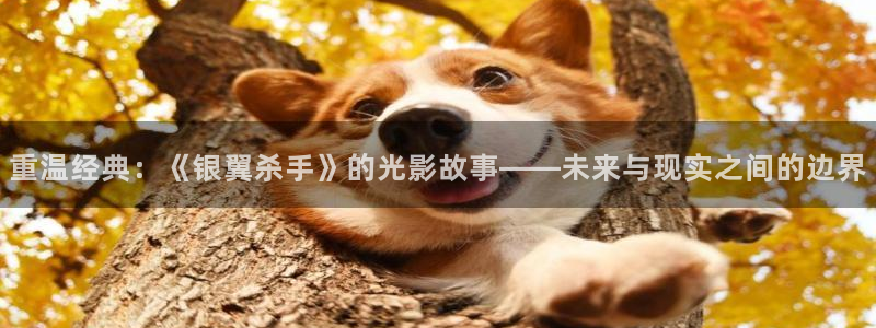 樱花视频大全动漫