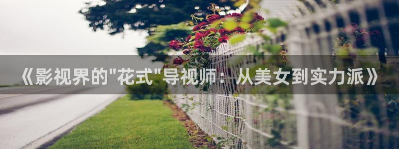 盾之勇者成名录樱花视频