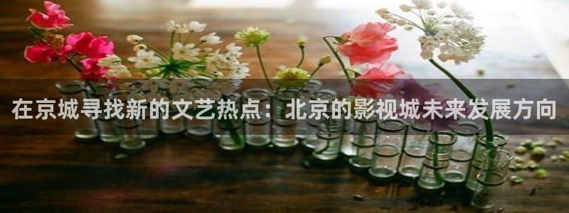 樱花视频yh