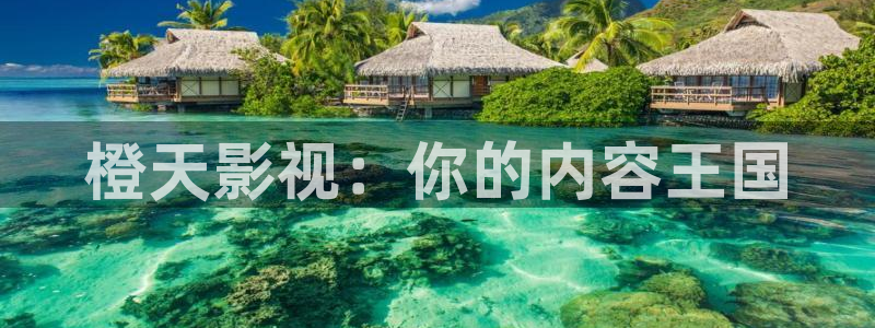 樱花视频专注