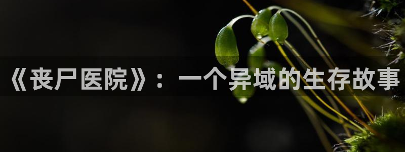 樱花影视免费版在线观看