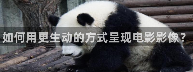 樱花视频在线观看电视剧高清版