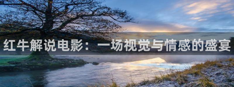 樱花视频视频