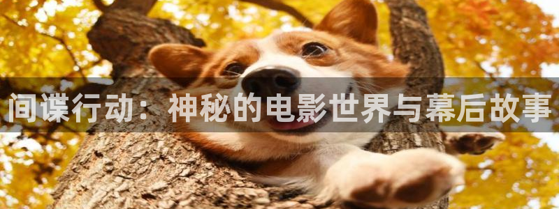 樱花影院免费观看电视剧电影