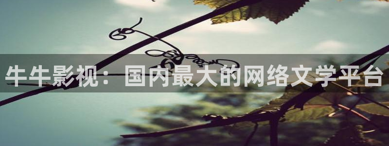 樱花视频韩国