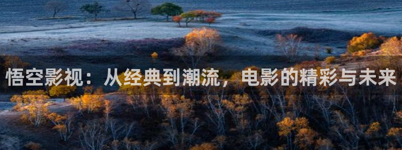 樱花影视电视剧免费观看