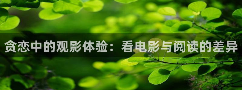亚洲樱花视频