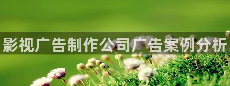 樱花影院在线观看免费播放电视剧