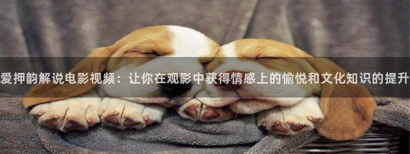 樱花影院电视剧高清在线观看
