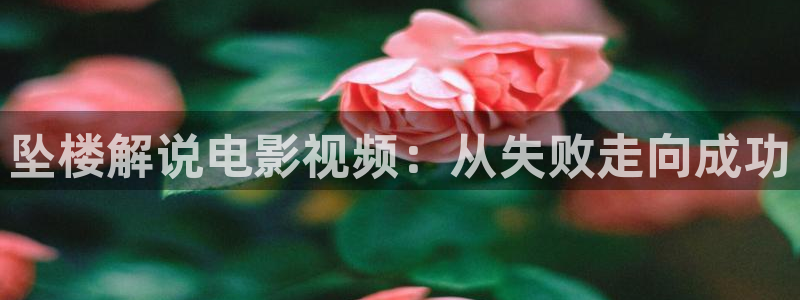 小樱花视频在线