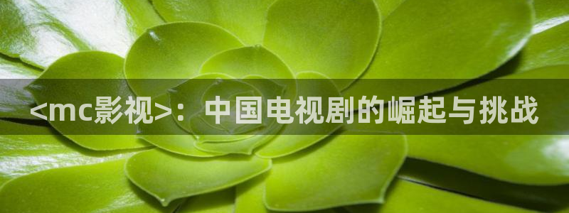 樱花视频www.