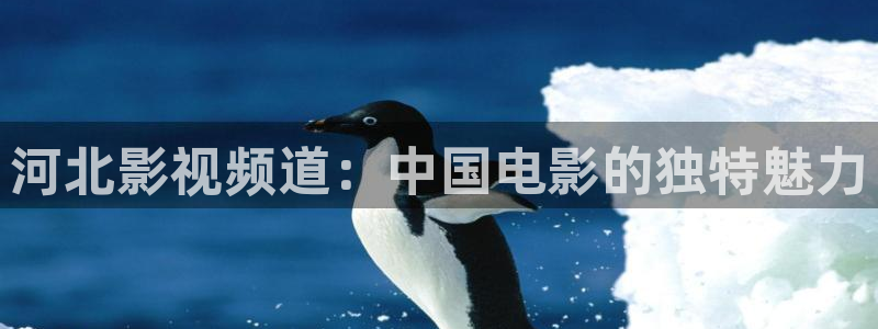 樱花视频专注