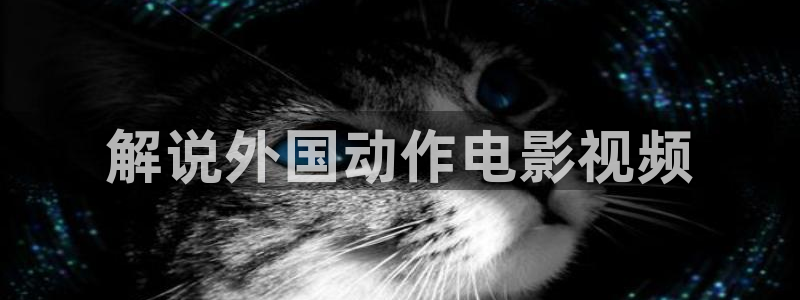 樱花视频专注