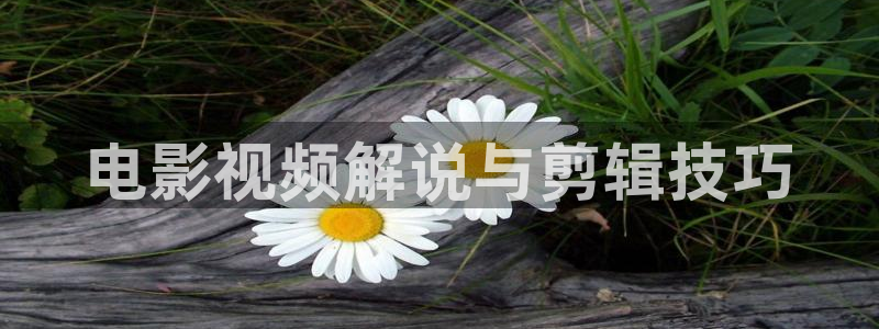 樱花视频成人