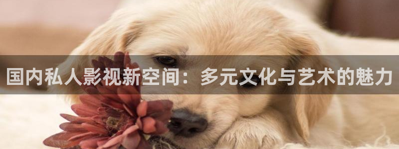 亚洲樱花视频