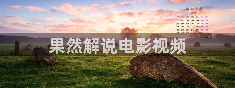 樱花视频在线www免费观看