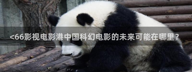 樱花视频在线观看视频免费
