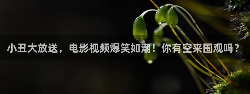 樱花影视.