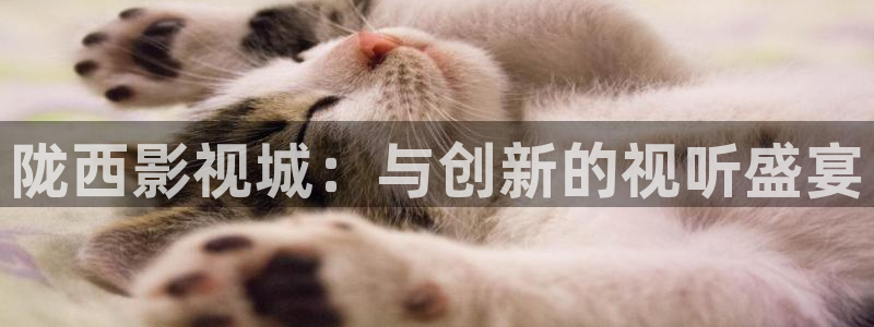 樱花影院在线观看高清电视剧