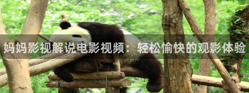 樱花影院在线观看高清电视剧网站