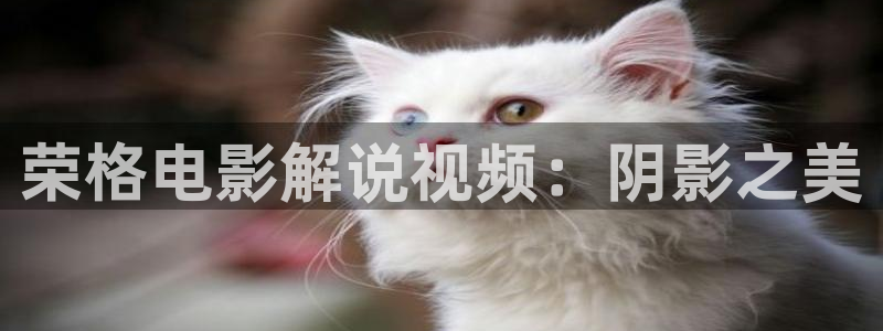 樱花视频安装